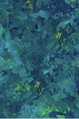 Chroma Peacock Cotton Fabric 108" Wide - Northcott B9060-66 - Carmon's Quilt Shop