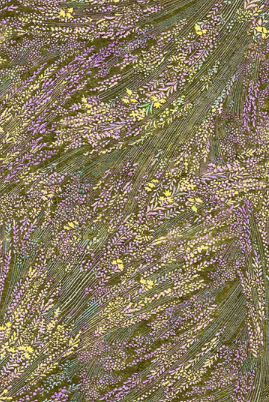 Textured pattern with green, purple, and yellow colors Meadow Breeze Sage Wide Backing 3 Yards 108" x 108" - P&B Textiles - Carmon's Quilt Shop