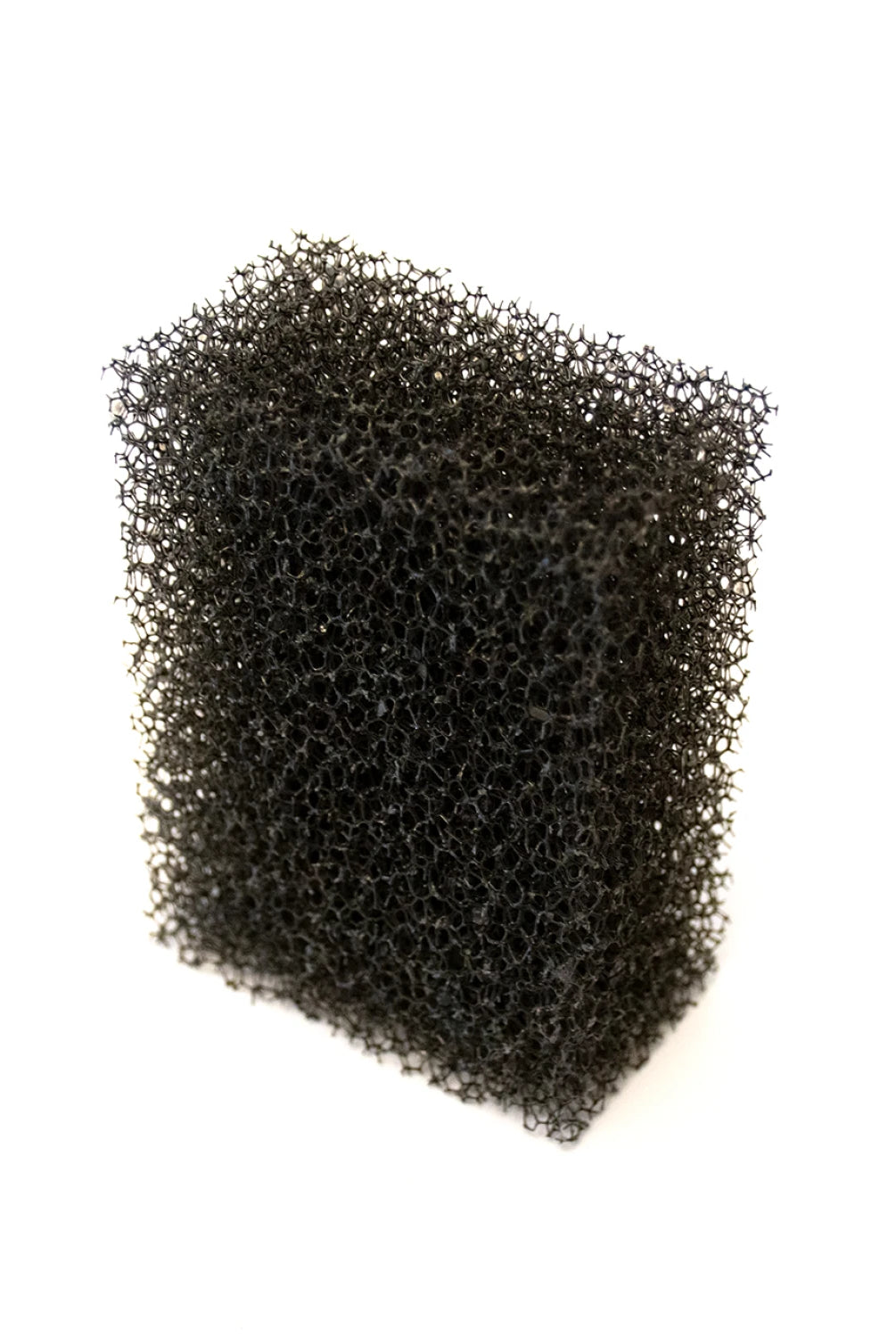 Black foam filter on a white background