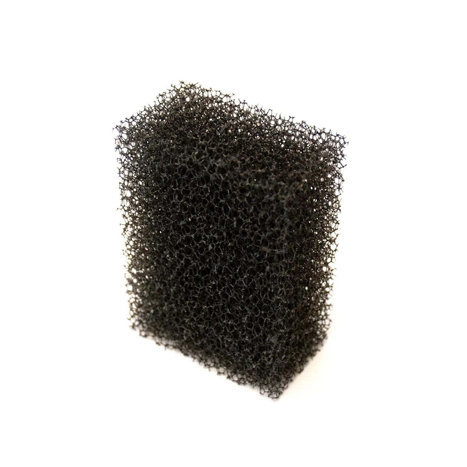 Black foam filter on a white background