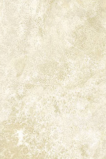 Stonehenge Basics Almond 3937-192 Northcott Carmon's Quilt Shop