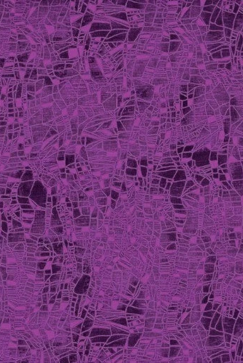 Carmon's Quilt Shop Dragonfly Wonder purple cotton fabric with a dark abstract dragonfly wing pattern