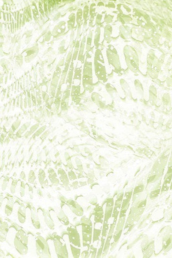 Carmon's Quilt Shop Dragonfly Wonder cotton fabric with abstract light green and white dragonfly wing patterns