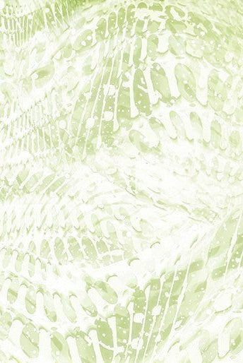 Carmon's Quilt Shop Dragonfly Wonder cotton fabric with abstract light green and white dragonfly wing patterns