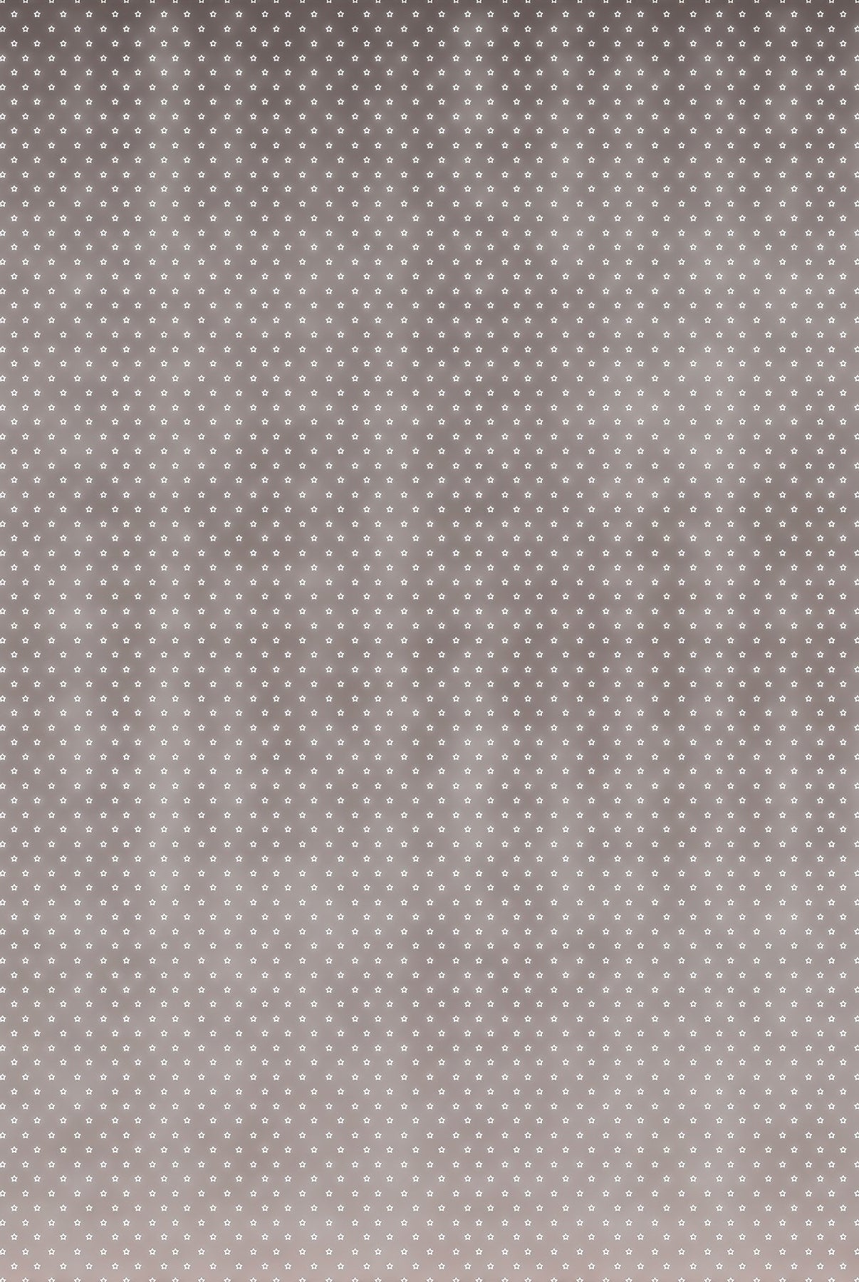 Carmon's Quilt Shop Figo Nest quilting cotton fabric featuring a grey background with a delicate white star pattern.
