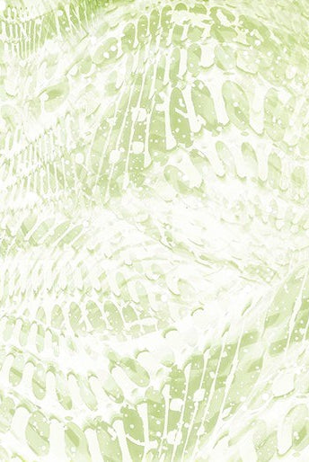 Carmon's Quilt Shop Dragonfly Wonder cotton fabric square featuring a light green abstract dragonfly wing pattern