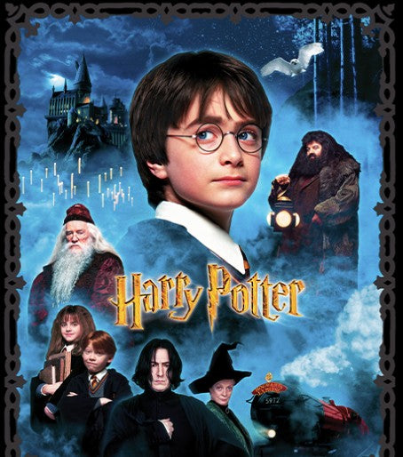 Carmon's Quilt Shop Harry Potter cotton fabric panel featuring iconic movie characters and Hogwarts castle scene