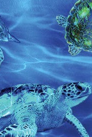 Carmon's Quilt Shop 108 inch wide cotton fabric featuring a vibrant underwater sea turtle print in shades of blue