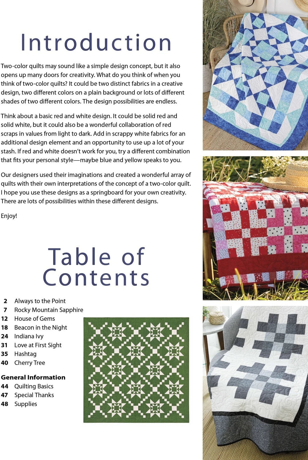 Carmon's Quilt Shop Two Color Quilts pattern book pages showing blue, red, and green geometric quilt designs
