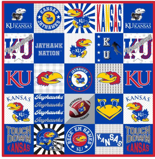 NCAA Collegiate T-Shirt Minky