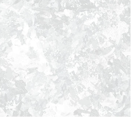 Solid light gray color swatch Chroma Frost Cotton Fabric 108" Wide  - Northcott B9060-61 - Carmon's Quilt Shop 