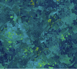 Chroma Peacock Cotton Fabric 108" Wide  - Northcott B9060-66 - Carmon's Quilt Shop