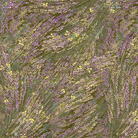 Textured pattern with green, purple, and yellow colors Meadow Breeze Sage Wide Backing 3 Yards 108" x 108"  - P&B Textiles - Carmon's Quilt Shop