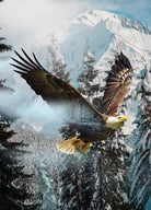 Carmon's Quilt Shop Hoffman Fabrics cotton panel featuring a bald eagle soaring over snowy mountains and pine trees.