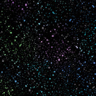 Carmon's Quilt Shop Dragonfly Wonder black cotton fabric with multi-colored paint splatter design