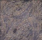 Carmon's Quilt Shop Meadow Breeze brown floral 108-inch wide cotton quilt backing fabric with intricate botanical print.