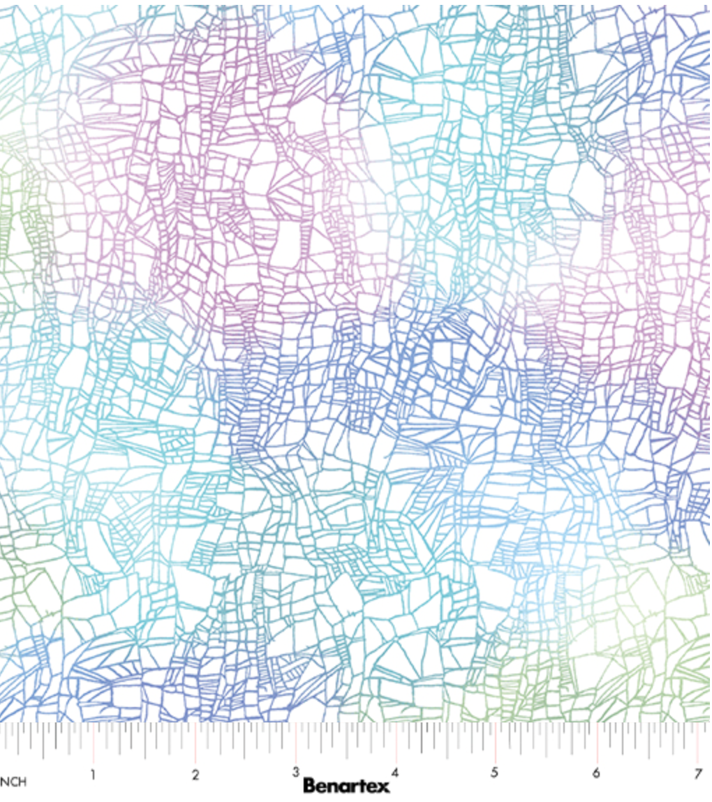 Carmon's Quilt Shop Dragonfly Wonder Cirrus Texture white multi cotton quilting fabric with abstract line pattern