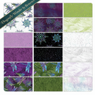 Carmon's Quilt Shop Dragonfly Wonder quilting fabric collection by Benartex featuring purple and green dragonfly prints