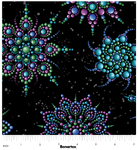 Carmon's Quilt Shop Dragonfly Wonder cotton fabric featuring beaded medallion patterns in blue, green, and purple.