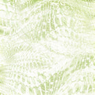 Carmon's Quilt Shop Dragonfly Wonder cotton fabric with abstract light green and white dragonfly wing patterns