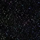 Carmon's Quilt Shop Dragonfly Wonder cotton fabric featuring a black background with colorful speckled dots