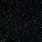 Carmon's Quilt Shop Dragonfly Wonder cotton fabric featuring a black background with colorful speckled paint dots
