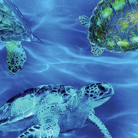Carmon's Quilt Shop 108 inch wide cotton fabric featuring a vibrant underwater sea turtle print in shades of blue