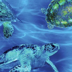 Carmon's Quilt Shop 108 inch wide cotton fabric featuring a vibrant underwater sea turtle print in shades of blue