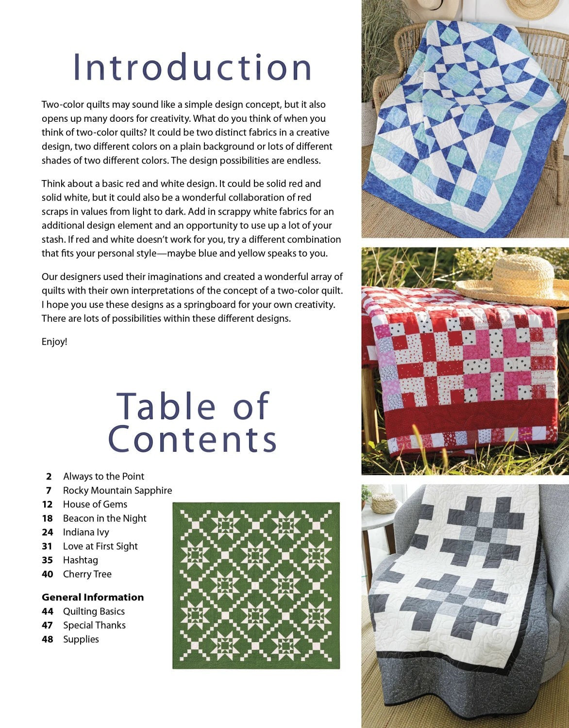 Carmon's Quilt Shop Two Color Quilts pattern book pages showing blue, red, and green geometric quilt designs